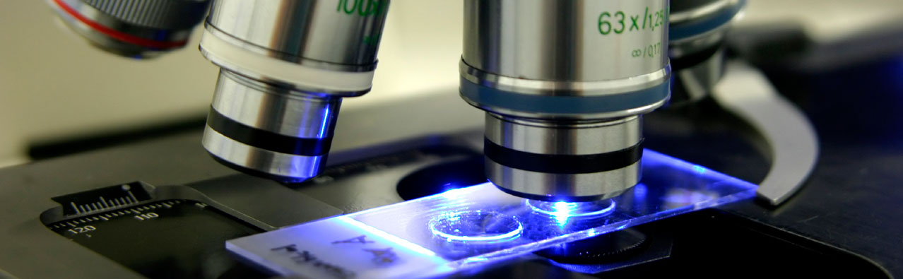 TriMod Therapeutics TriMod Therapeutics